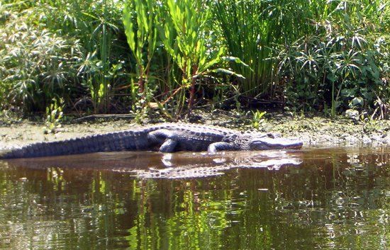 Halpatiokee Regional Park